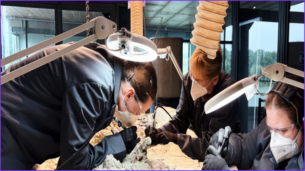 2,000 Volunteers Join Effort to Restore Massive Prehistoric Skeleton