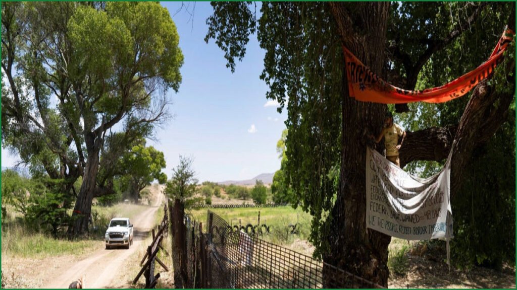 Activists Launch Tree Sit to Block Border Wall Construction