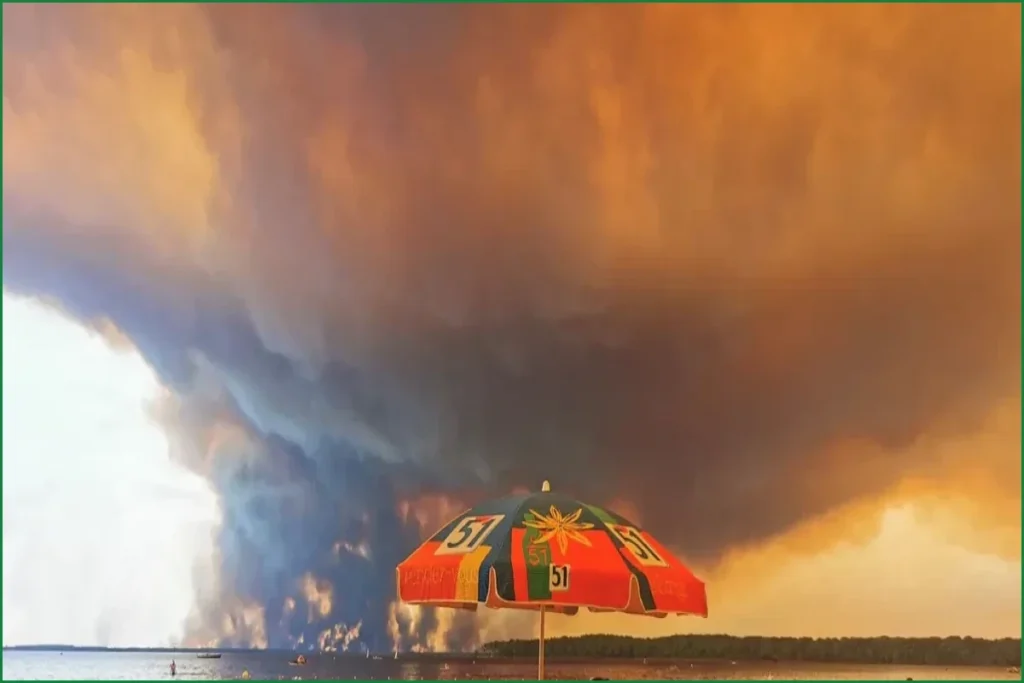 Behind the Viral Photo of Beachgoers Watching French Wildfires
