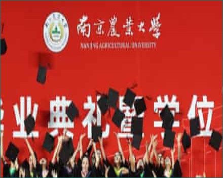 China’s Economic Growth Slows to 4.3% in Second Quarter