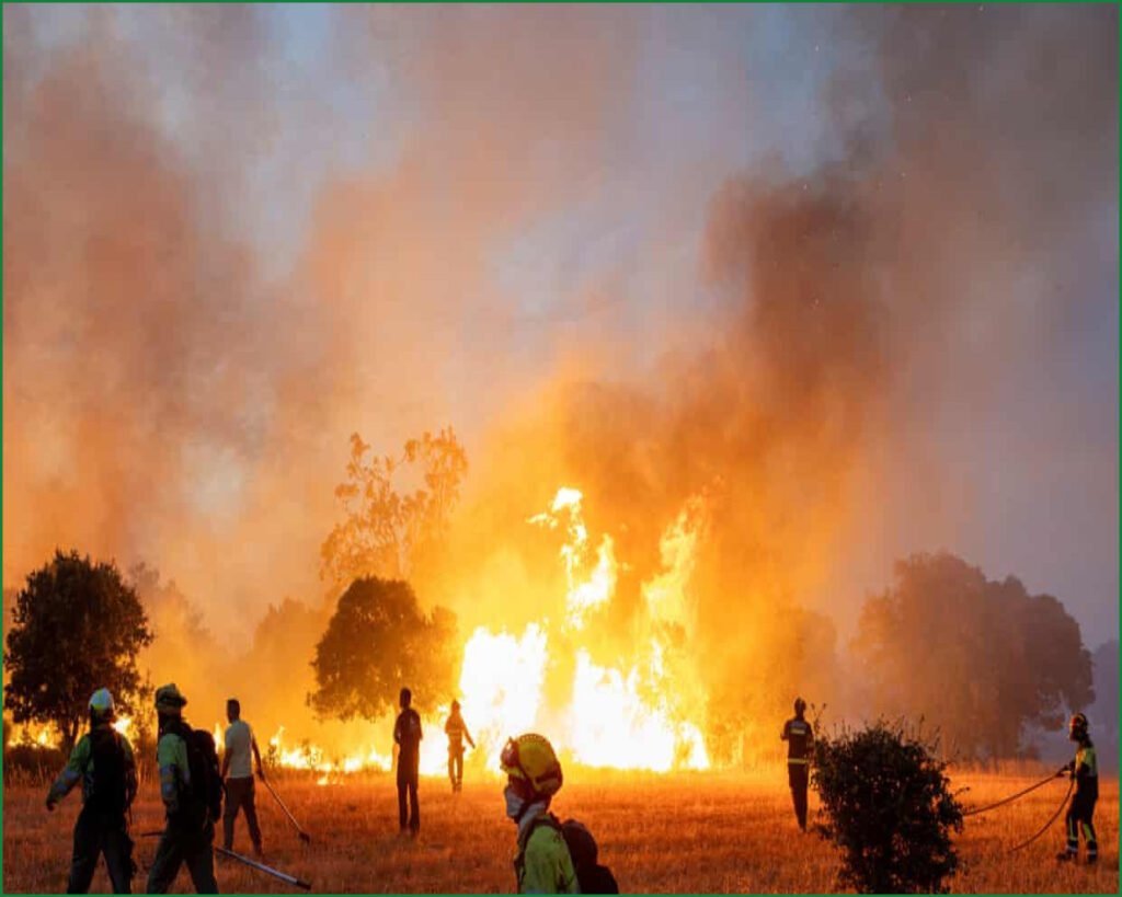 EU Wildfire Weather Hits Record Levels of Severity