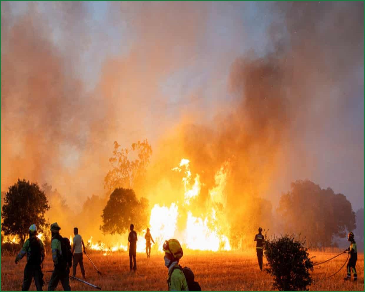 EU Wildfire Weather Hits Record Levels of Severity
