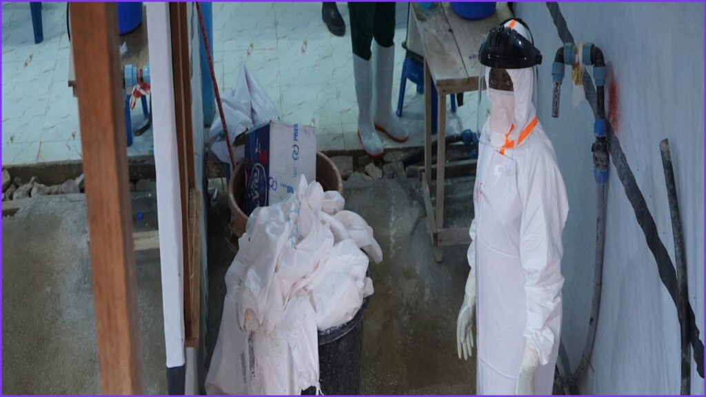 Ebola Outbreak in Congo Claims Nearly 1,000 Lives