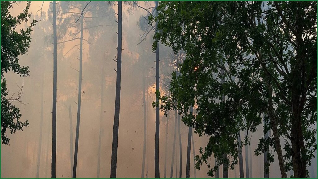 Evacuations Ordered in Bordeaux Suburbs Amid Worsening Wildfires