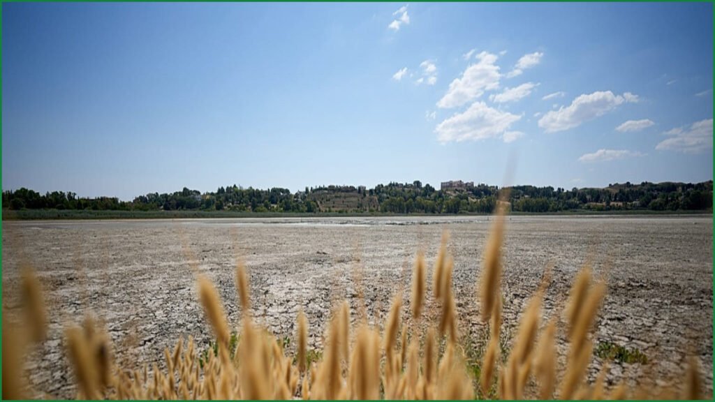 Extreme Heat Now Primary Driver of Severe European Droughts
