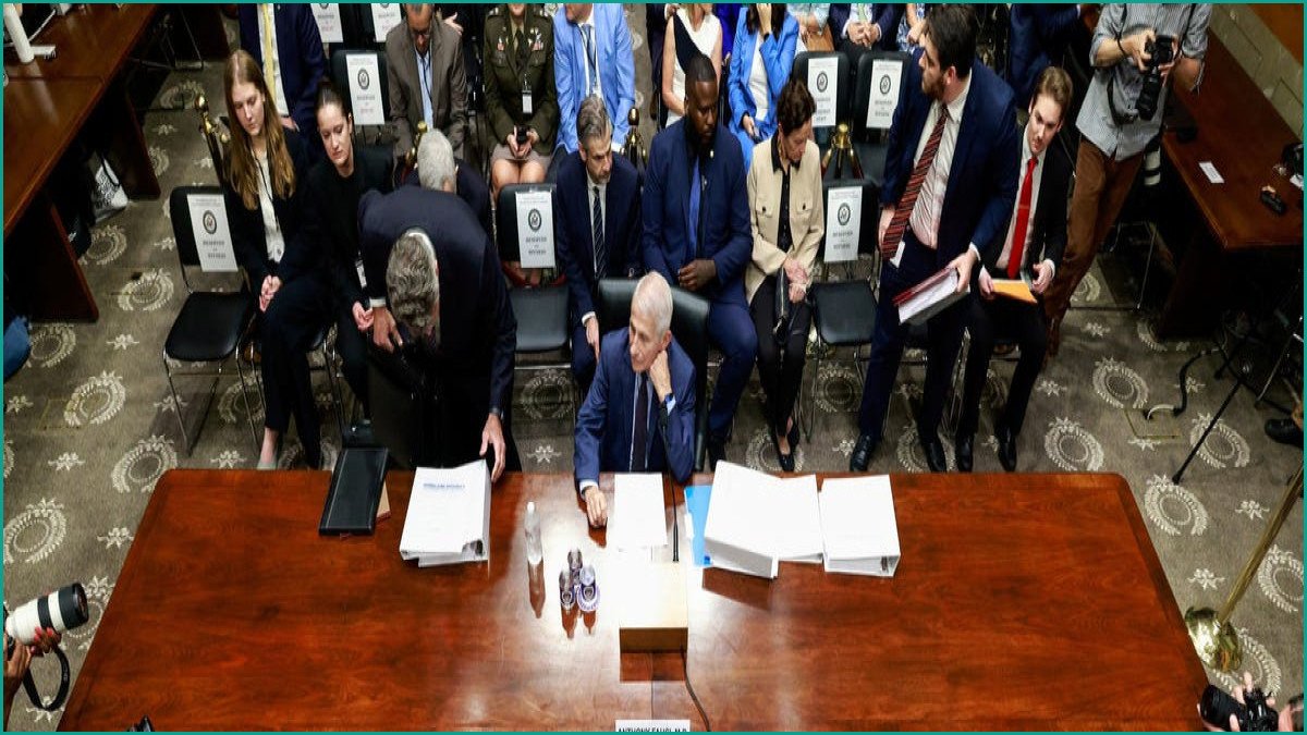 Fauci Diary Reveals Insights Into COVID-19, Trump and Fame