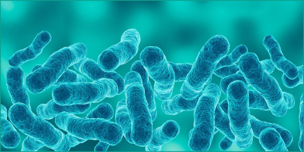 Fifth Death Reported in NYC Legionnaires’ Disease Outbreak