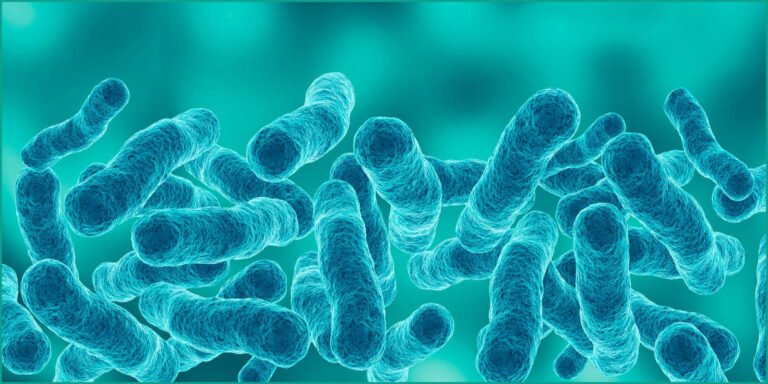 Fifth Death Reported in NYC Legionnaires’ Disease Outbreak
