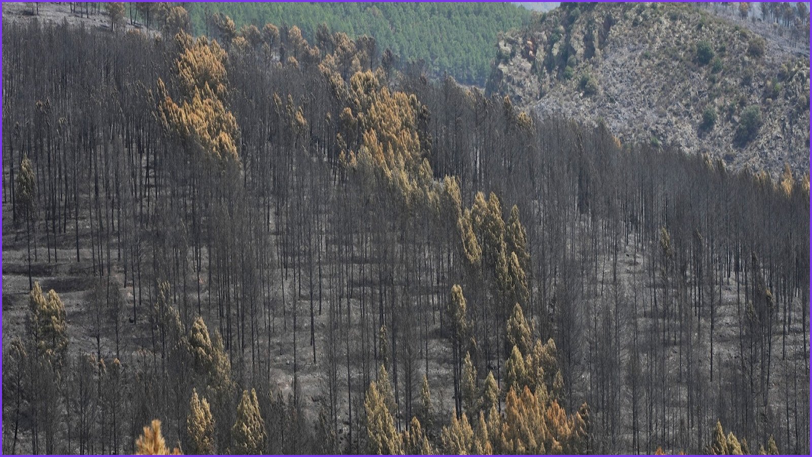 Firefighters Battle Massive Wildfire Amidst Intense Spanish Heat Wave