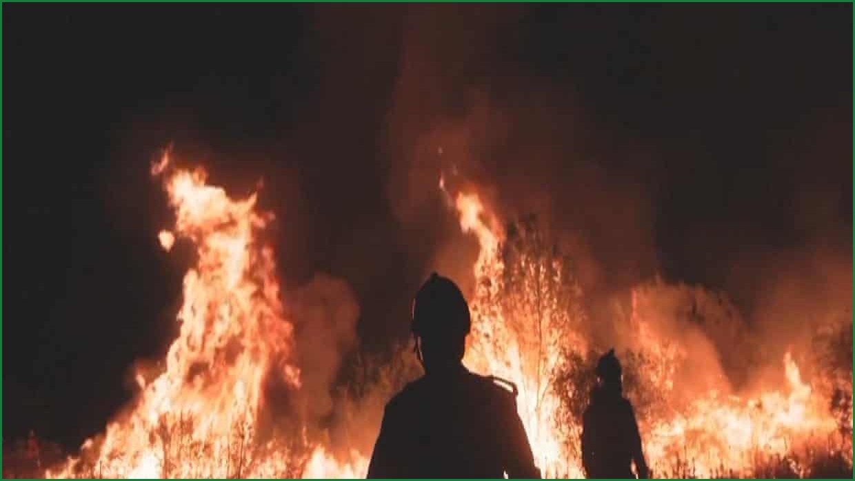 France and Spain Battle Massive Wildfires Amid Climate Crisis