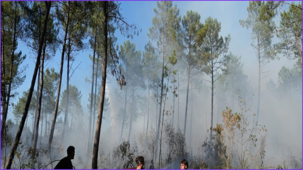 French Firefighters Stabilize Vast Wildfire Amid Returning Heat