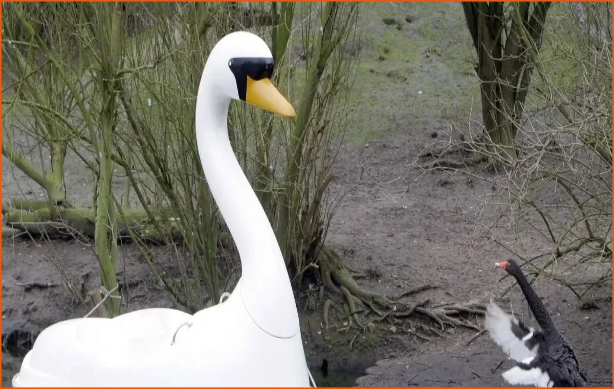 Germany’s Wild Tradition of Summer Silly Season Animals