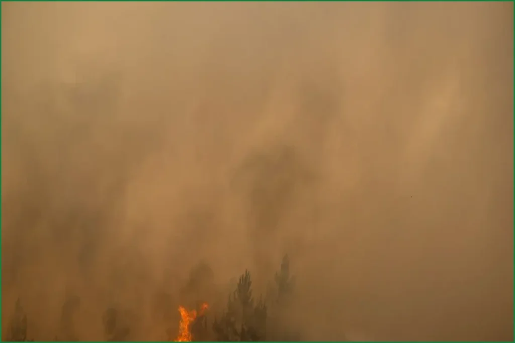 Health Risks Rise as Wildfires Burn Across France and Spain