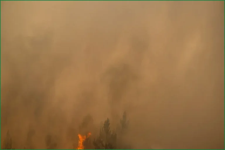 Health Risks Rise as Wildfires Burn Across France and Spain