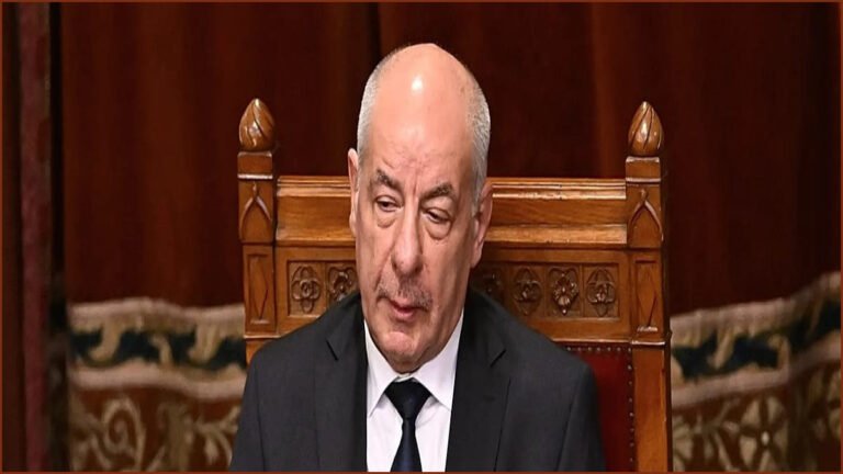 Hungarian President Tamás Sulyok Signs Law Ending His Mandate