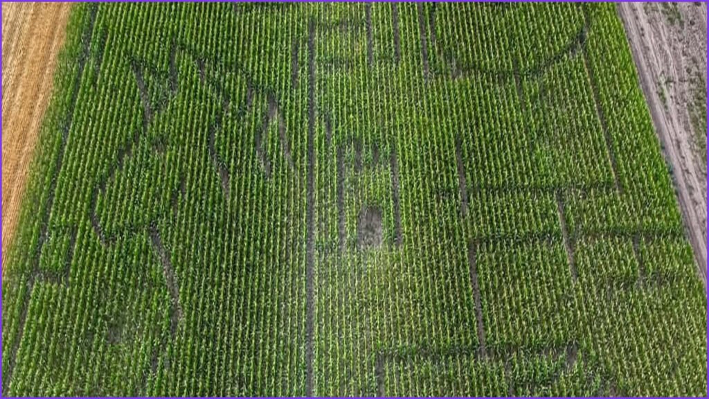 Hungary Opens Giant Fairy Tale Themed 4.5-Hectare Corn Maze