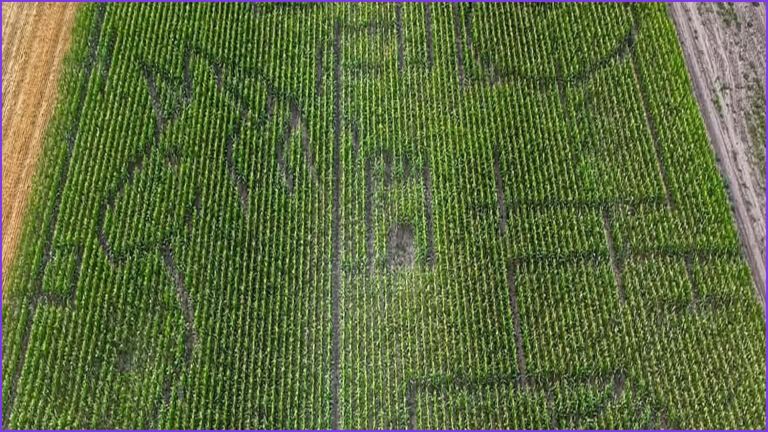 Hungary Opens Giant Fairy Tale Themed 4.5-Hectare Corn Maze