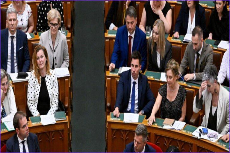 Hungary Parliament Votes to Remove President Tamás Sulyok