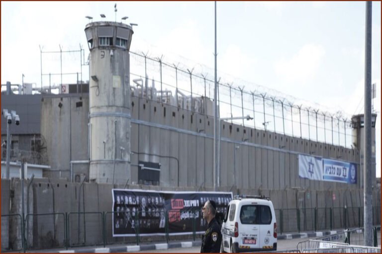 Israel Reclassifies Crocodiles to Allow Use in Prisons
