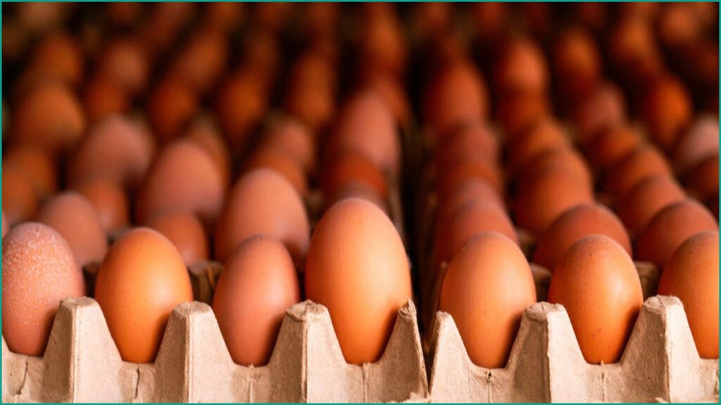 Midwest Poultry Services Recalls 1.6 Million Eggs Over Salmonella