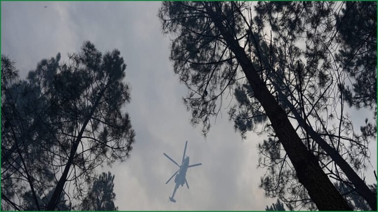 New Wildfire Breaks Out in France’s Var Department