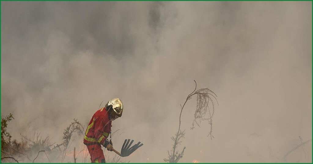 Over 300,000 Displaced as Wildfires Ravage France and Spain