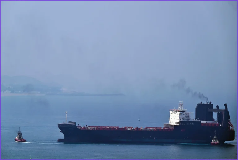 Strait of Hormuz Conflict Stalls Global Maritime Shipping Routes