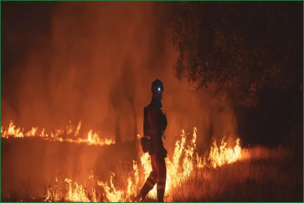 Thousands Flee Worst Wildfire in Madrid History as Winds Worsen
