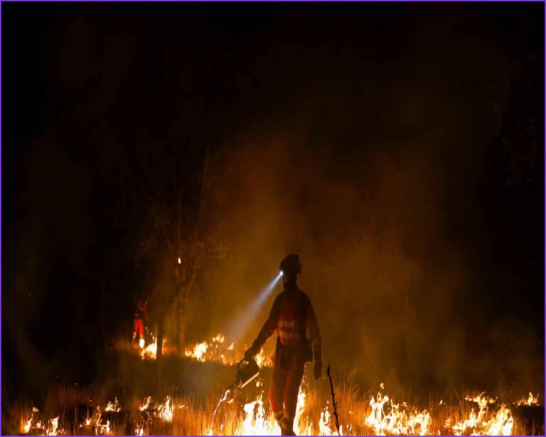 Three Firefighters Die in Greece Amid Europe's Wildfire Crisis