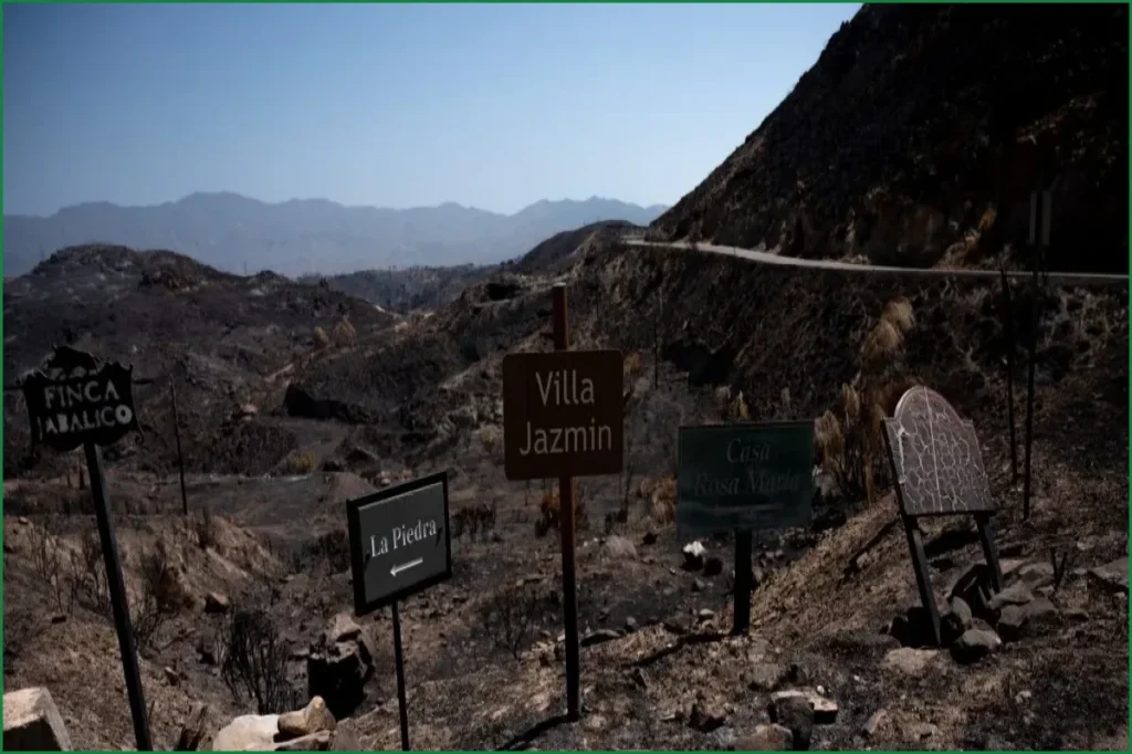 Twelve Foreign Nationals Identified Among 13 Dead in Spanish Wildfire