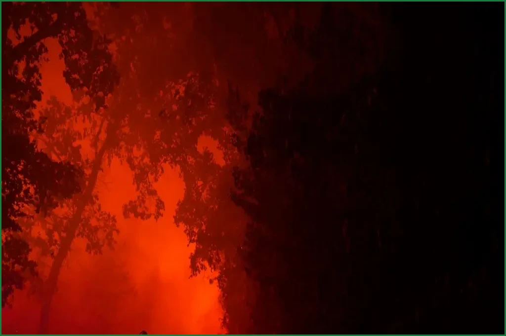 What Is Driving France’s Increasingly Severe Wildfires?
