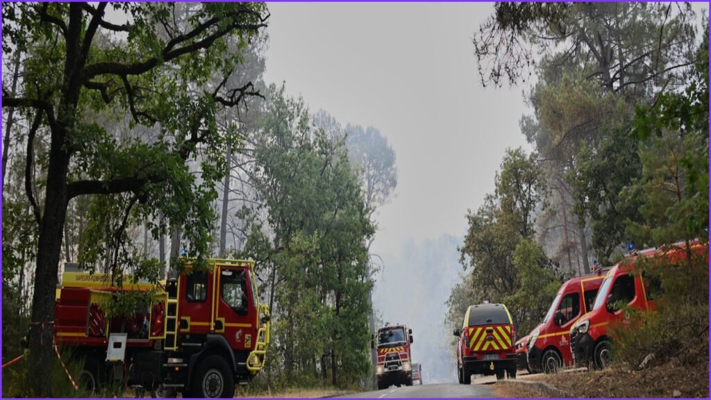 Wildfire in Historic Fontainebleau Forest Forces Evacuations and Disruptions