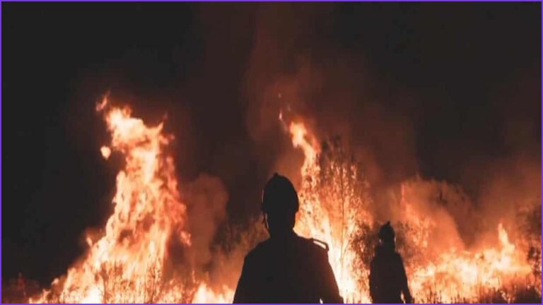 Wildfires Force Over 250,000 to Flee France and Spain