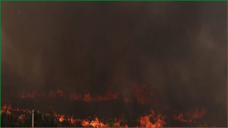 Wildfires Rage Across Spain as Zaragoza Blaze Hits 15,400 Hectares