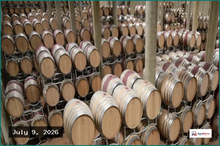 Italian Winemakers Downgrade Stock as Surplus Piles Up