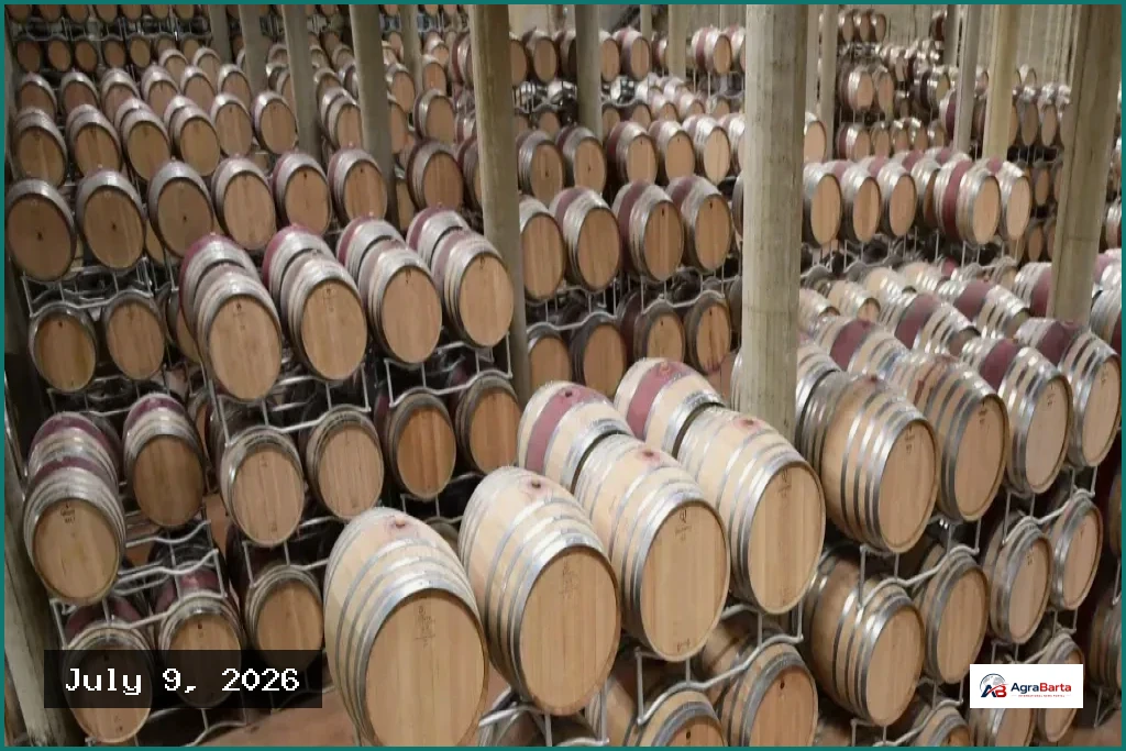 Italian Winemakers Downgrade Stock as Surplus Piles Up