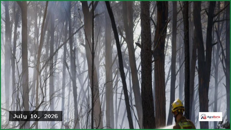 Twelve Dead as Wildfires Sweep Through Southern Spain