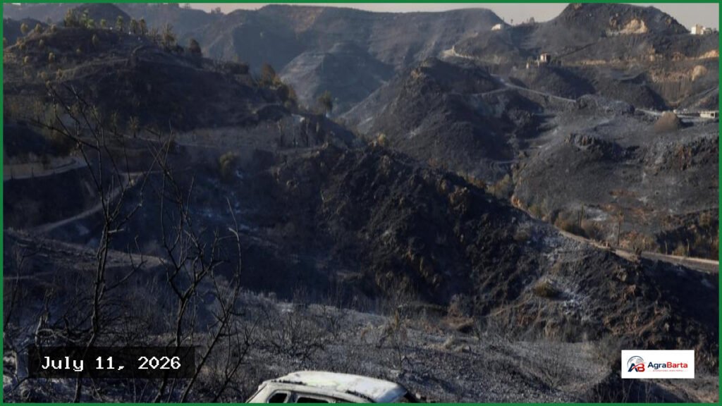 Deadly Wildfire Kills 12 as Spain Battles Extreme Heat