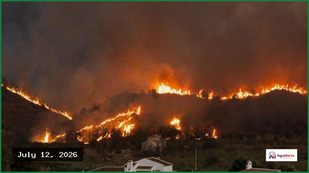 British Couple Rescued from Ravine Amidst Deadly Spain Wildfires