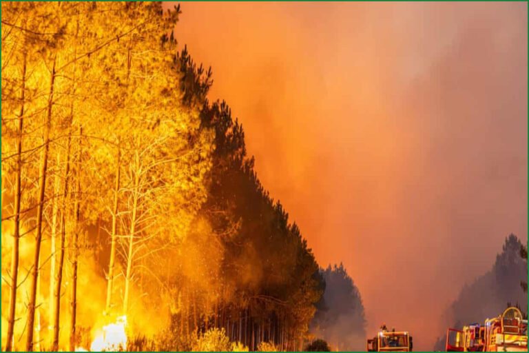 Amazon Braces for Powerful Godzilla El Niño Drought