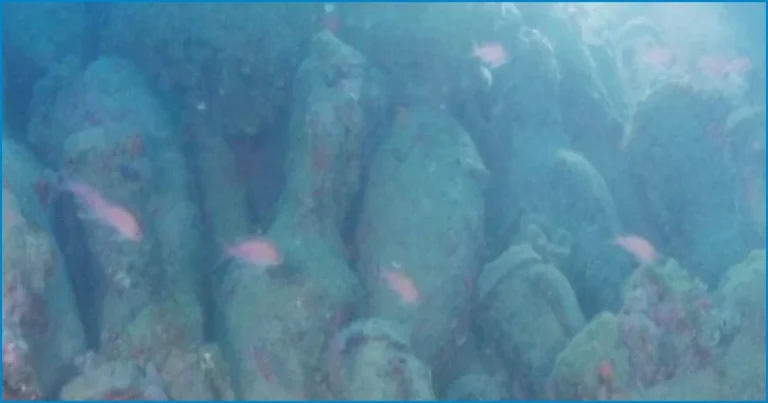 Ancient Roman Shipwreck Discovered Off The Coast Of Sicily