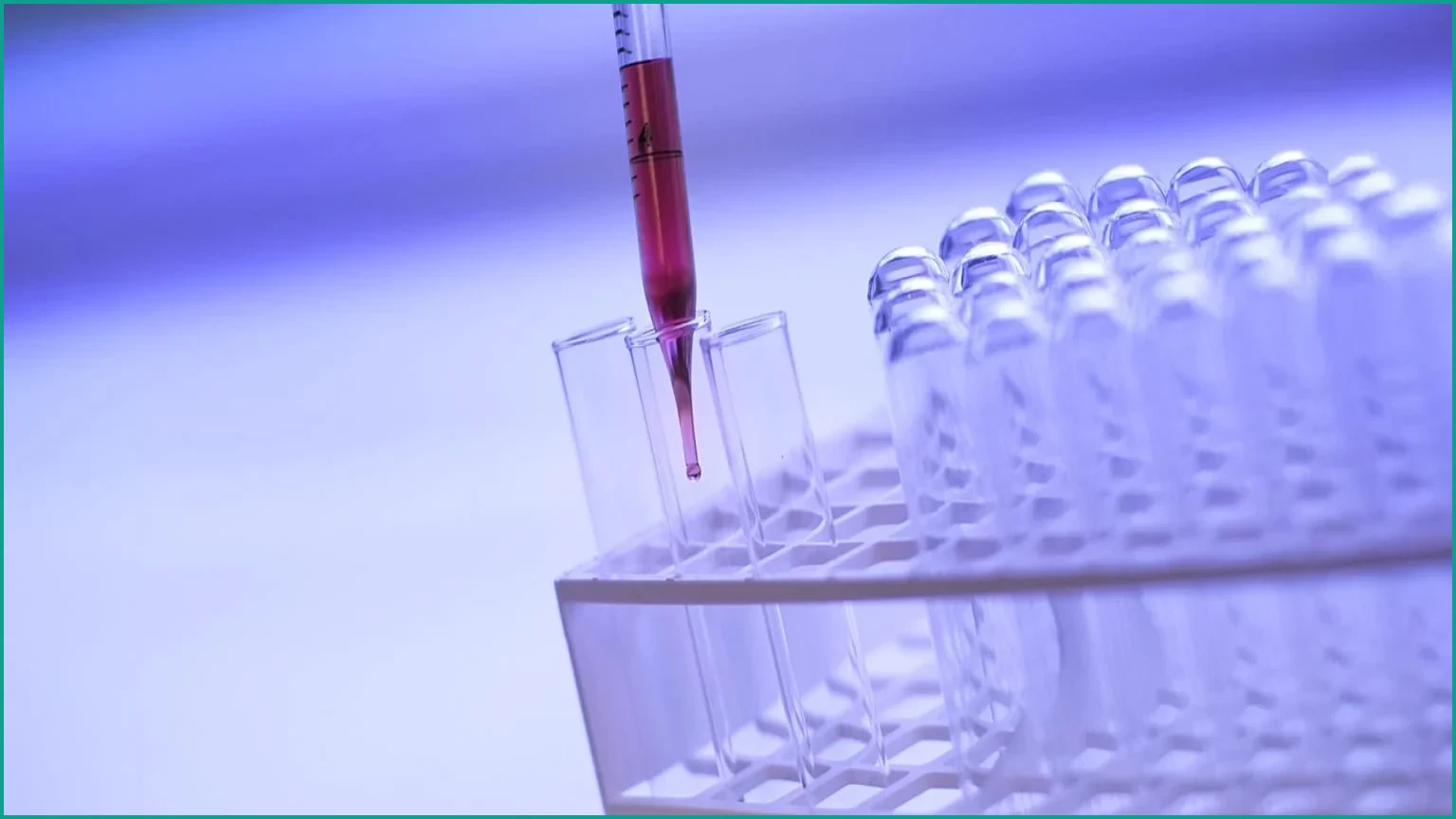 Basque Country halves colon cancer deaths with screening