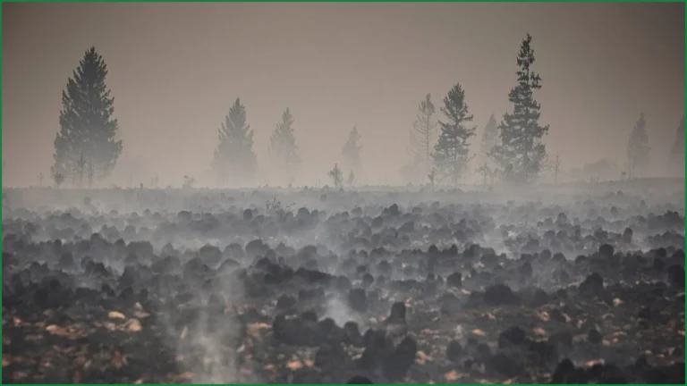 Belgium's Largest Wildfire in a Century Now Under Control