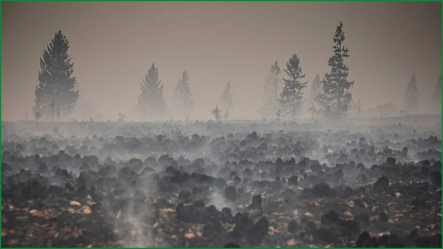 Belgium’s Largest Wildfire in a Century Now Under Control
