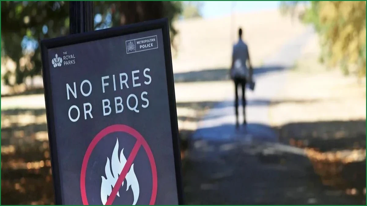 Disposable Barbecue Ban Over Wildfire Risk