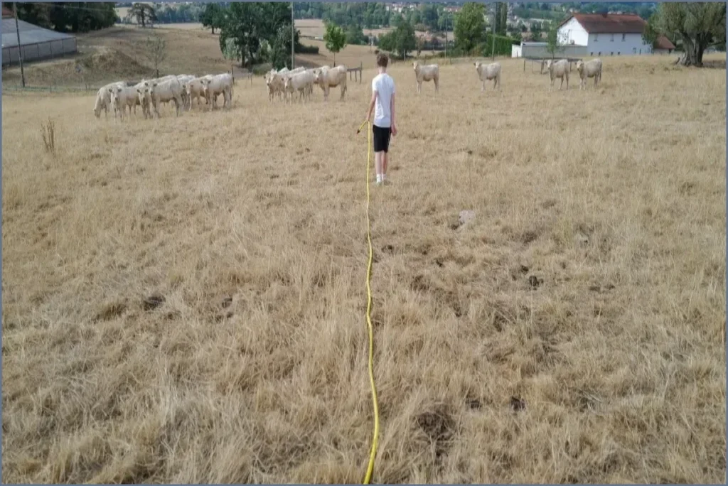 Drought of 2026 Threatens France with Severe Food Price Crisis