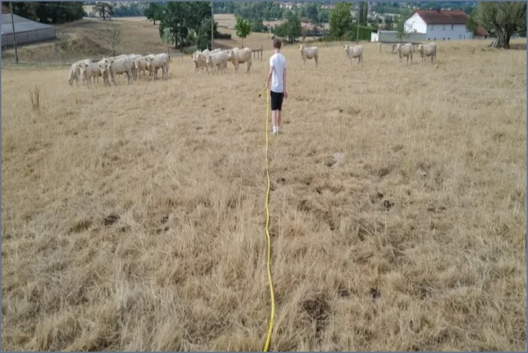Drought of 2026 Threatens France with Severe Food Price Crisis