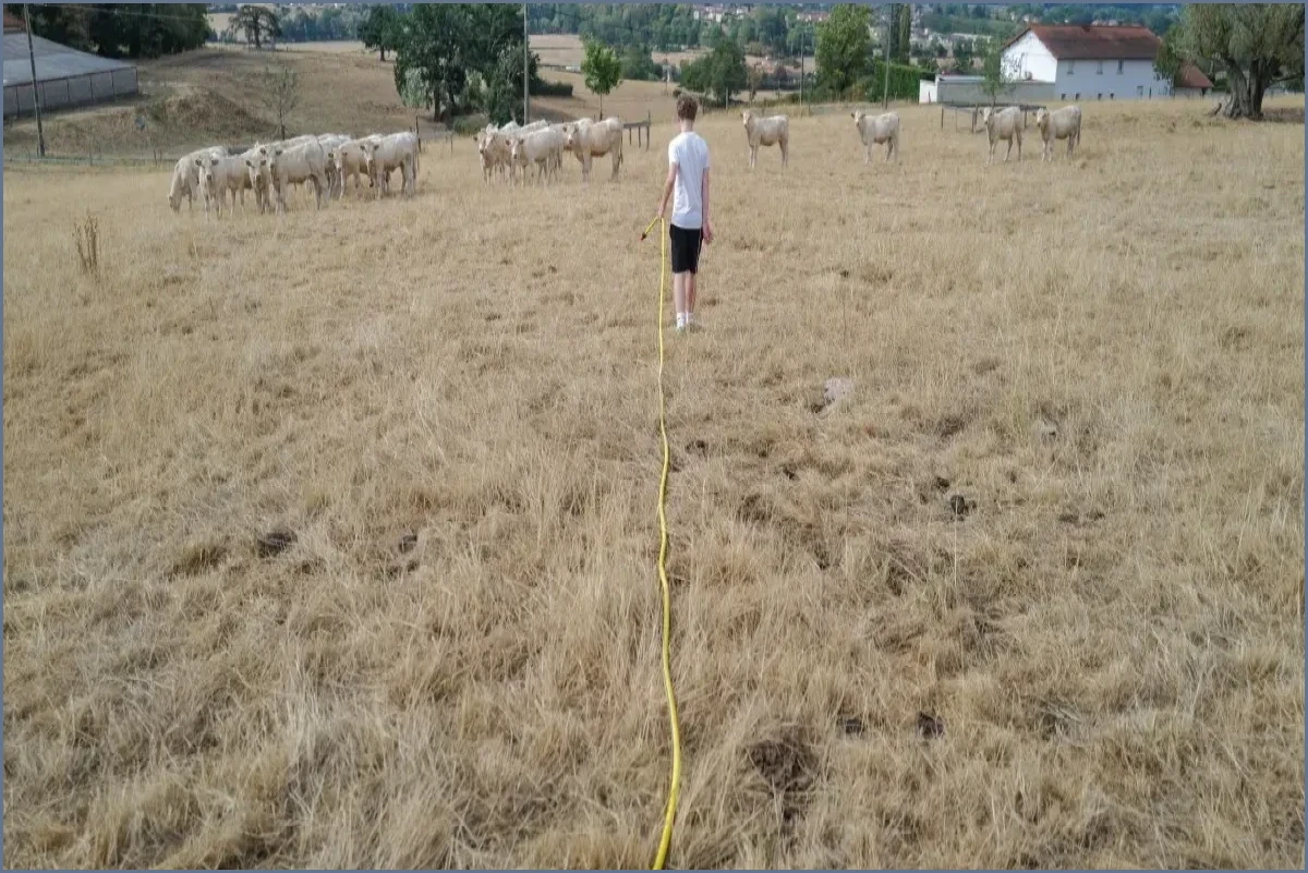 Drought of 2026 Threatens France with Severe Food Price Crisis
