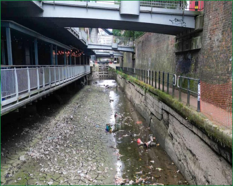Every English Water Body Polluted With Toxic Chemicals