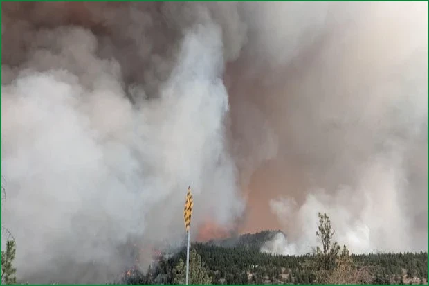Fast-Moving Wildfire Forces Over 20,000 Evacuations in British Columbia